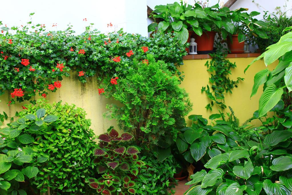 Hostal Escartin Sabiñánigo Dış mekan fotoğraf