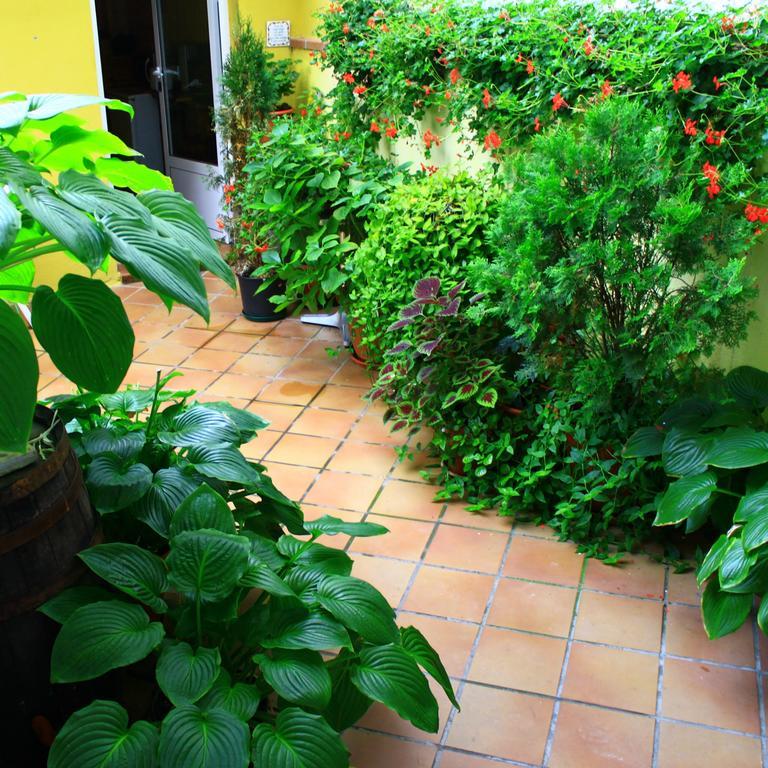 Hostal Escartin Sabiñánigo Dış mekan fotoğraf