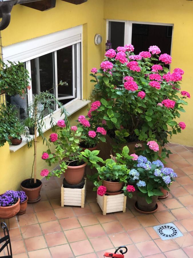 Hostal Escartin Sabiñánigo Dış mekan fotoğraf